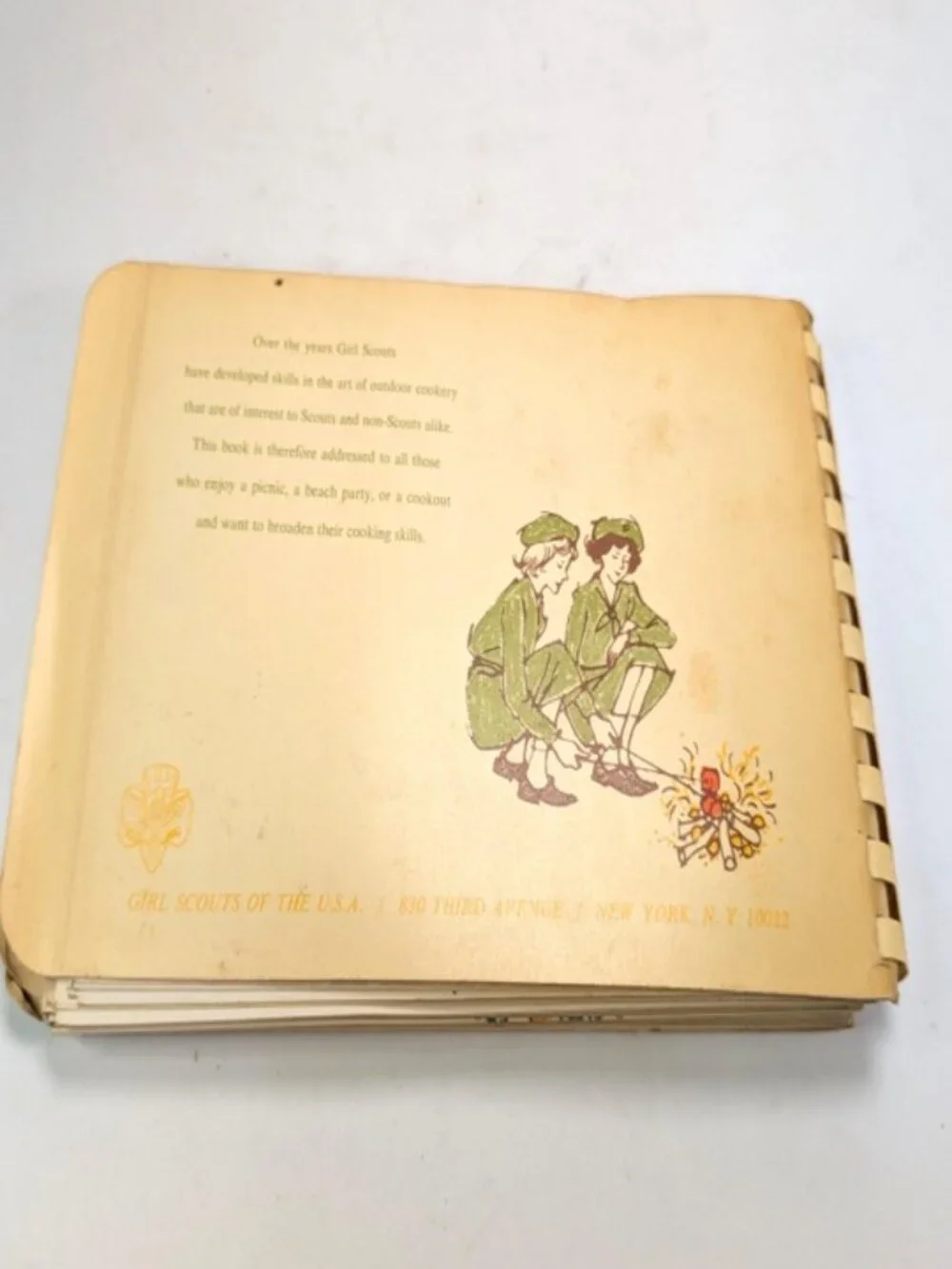 Vintage 1960 Girl Scouts 